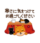 柴犬「ムサシ」59 お正月 再版（個別スタンプ：40）