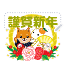 柴犬「ムサシ」お正月 メッセージ 再版（個別スタンプ：2）