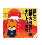 柴犬「ムサシ」お正月 メッセージ 再版（個別スタンプ：5）