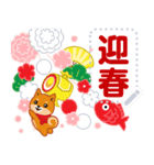 柴犬「ムサシ」お正月 メッセージ 再版（個別スタンプ：8）