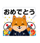 柴犬「ムサシ」お正月 メッセージ 再版（個別スタンプ：9）