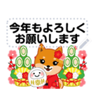 柴犬「ムサシ」お正月 メッセージ 再版（個別スタンプ：11）