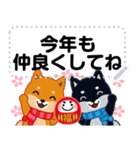 柴犬「ムサシ」お正月 メッセージ 再版（個別スタンプ：12）