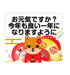 柴犬「ムサシ」お正月 メッセージ 再版（個別スタンプ：18）