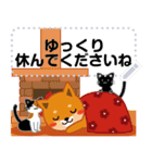 柴犬「ムサシ」お正月 メッセージ 再版（個別スタンプ：20）