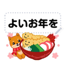 柴犬「ムサシ」お正月 メッセージ 再版（個別スタンプ：24）