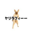 踊る！横揺れ界隈/フレンチブルドック1（個別スタンプ：4）