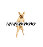 踊る！横揺れ界隈/フレンチブルドック1（個別スタンプ：11）