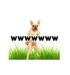 踊る！横揺れ界隈/フレンチブルドック1（個別スタンプ：12）