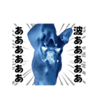 踊る！横揺れ界隈/フレンチブルドック1（個別スタンプ：13）