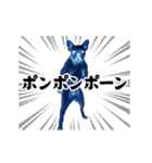 踊る！横揺れ界隈/フレンチブルドック1（個別スタンプ：17）