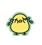 カラフル！動くひよこスタンプ（個別スタンプ：3）