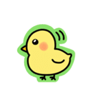 カラフル！動くひよこスタンプ（個別スタンプ：9）