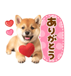 我が家の愛犬♡大好き柴犬ちゃん（個別スタンプ：2）