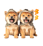 我が家の愛犬♡大好き柴犬ちゃん（個別スタンプ：9）