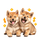 我が家の愛犬♡大好き柴犬ちゃん（個別スタンプ：10）