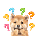 我が家の愛犬♡大好き柴犬ちゃん（個別スタンプ：13）