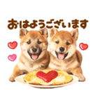 我が家の愛犬♡大好き柴犬ちゃん（個別スタンプ：14）
