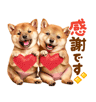 我が家の愛犬♡大好き柴犬ちゃん（個別スタンプ：15）