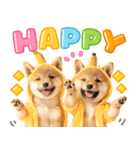 我が家の愛犬♡大好き柴犬ちゃん（個別スタンプ：16）