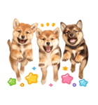 我が家の愛犬♡大好き柴犬ちゃん（個別スタンプ：19）