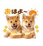 我が家の愛犬♡大好き柴犬ちゃん（個別スタンプ：21）