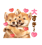 我が家の愛犬♡大好き柴犬ちゃん（個別スタンプ：22）