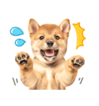 我が家の愛犬♡大好き柴犬ちゃん（個別スタンプ：24）