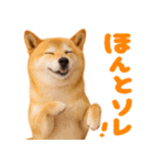我が家の愛犬♡大好き柴犬ちゃん（個別スタンプ：26）