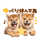 我が家の愛犬♡大好き柴犬ちゃん（個別スタンプ：30）