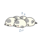 使いやすい♡もちシマエナガ セリフなし（個別スタンプ：5）