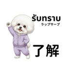 ビジョンフリーゼのタイ語と日本語会話（個別スタンプ：1）