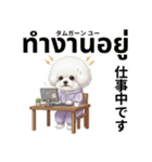 ビジョンフリーゼのタイ語と日本語会話（個別スタンプ：17）