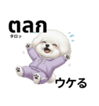 ビジョンフリーゼのタイ語と日本語会話（個別スタンプ：21）