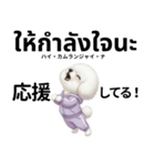 ビジョンフリーゼのタイ語と日本語会話（個別スタンプ：25）