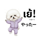 ビジョンフリーゼのタイ語と日本語会話（個別スタンプ：29）