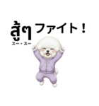 ビジョンフリーゼのタイ語と日本語会話（個別スタンプ：36）