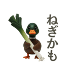 とにかく可愛くねぎを送るスタンプ（個別スタンプ：19）