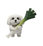 とにかく可愛くねぎを送るスタンプ（個別スタンプ：22）