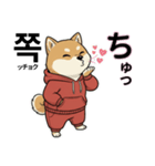 柴犬で日本語と韓国語会話（個別スタンプ：1）