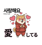 柴犬で日本語と韓国語会話（個別スタンプ：2）
