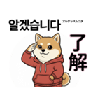 柴犬で日本語と韓国語会話（個別スタンプ：3）