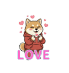 柴犬で日本語と韓国語会話（個別スタンプ：5）