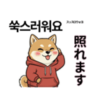 柴犬で日本語と韓国語会話（個別スタンプ：6）