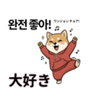 柴犬で日本語と韓国語会話（個別スタンプ：7）