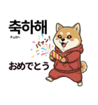 柴犬で日本語と韓国語会話（個別スタンプ：8）