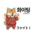 柴犬で日本語と韓国語会話（個別スタンプ：10）