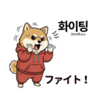 柴犬で日本語と韓国語会話（個別スタンプ：12）