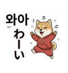柴犬で日本語と韓国語会話（個別スタンプ：13）