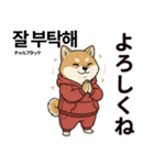 柴犬で日本語と韓国語会話（個別スタンプ：14）